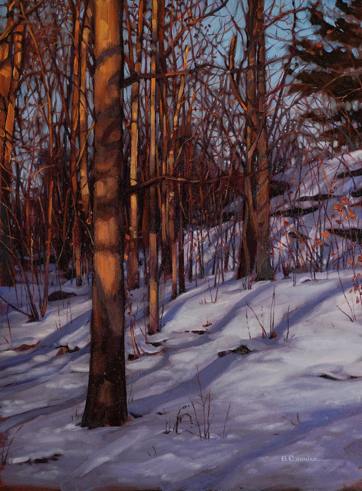 Winter Sunset