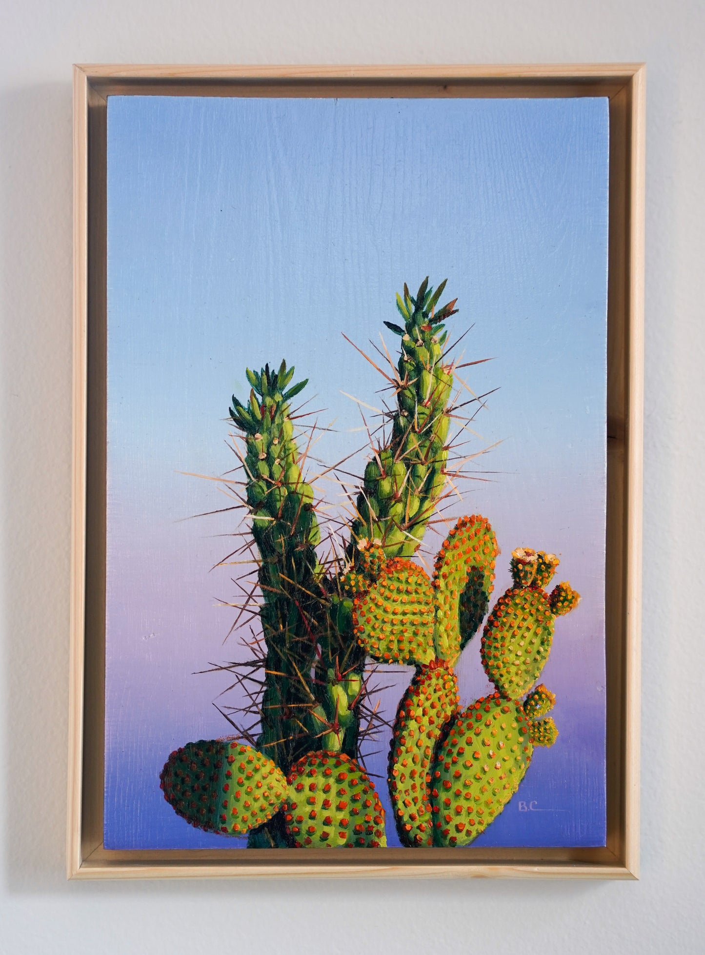 Island Cacti