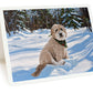 12-Card Holiday Package