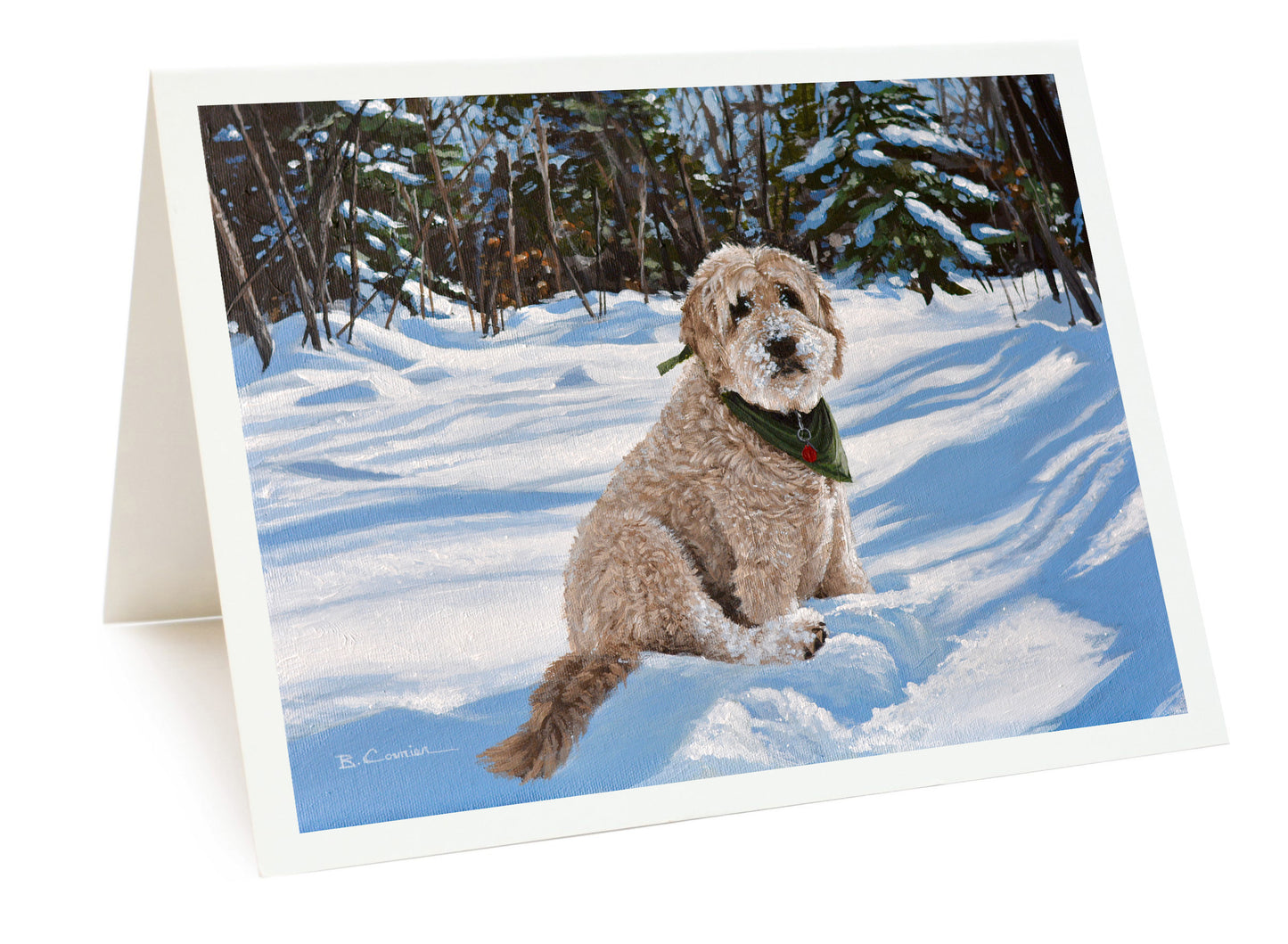 12-Card Holiday Package