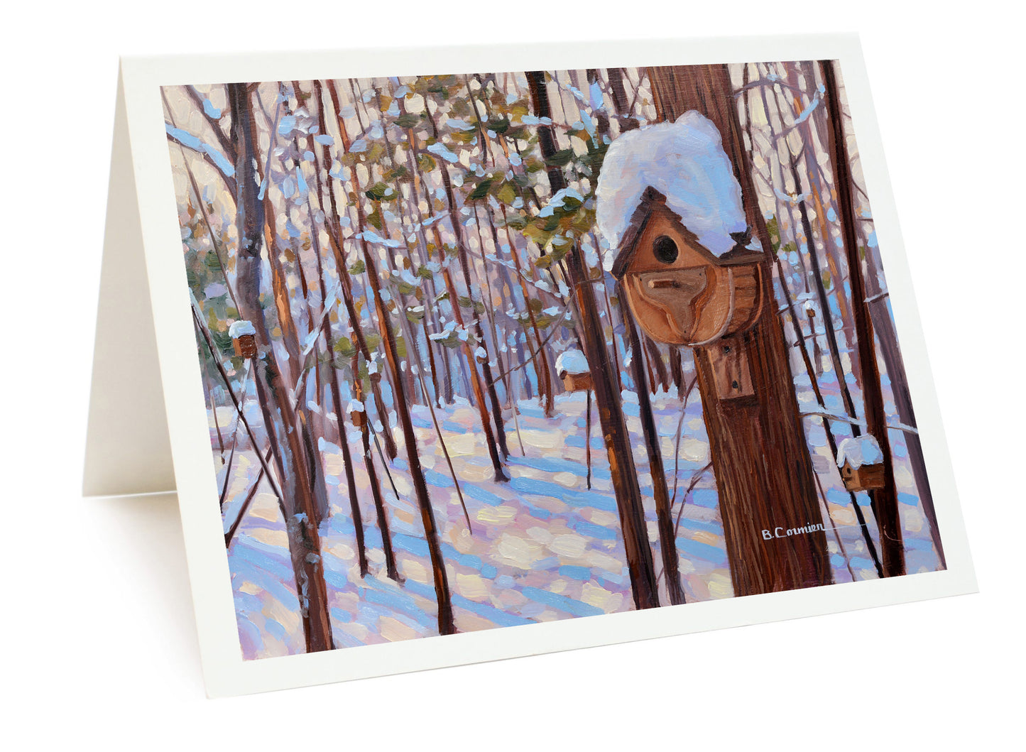 12-Card Holiday Package