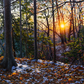 November