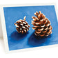 12-Card Holiday Package