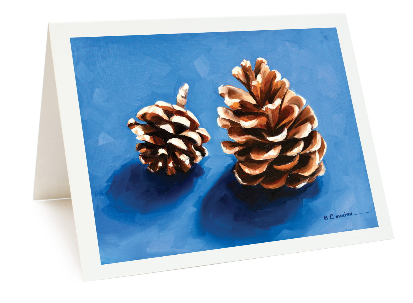12-Card Holiday Package