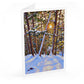 6-Card Winter Landscape Package