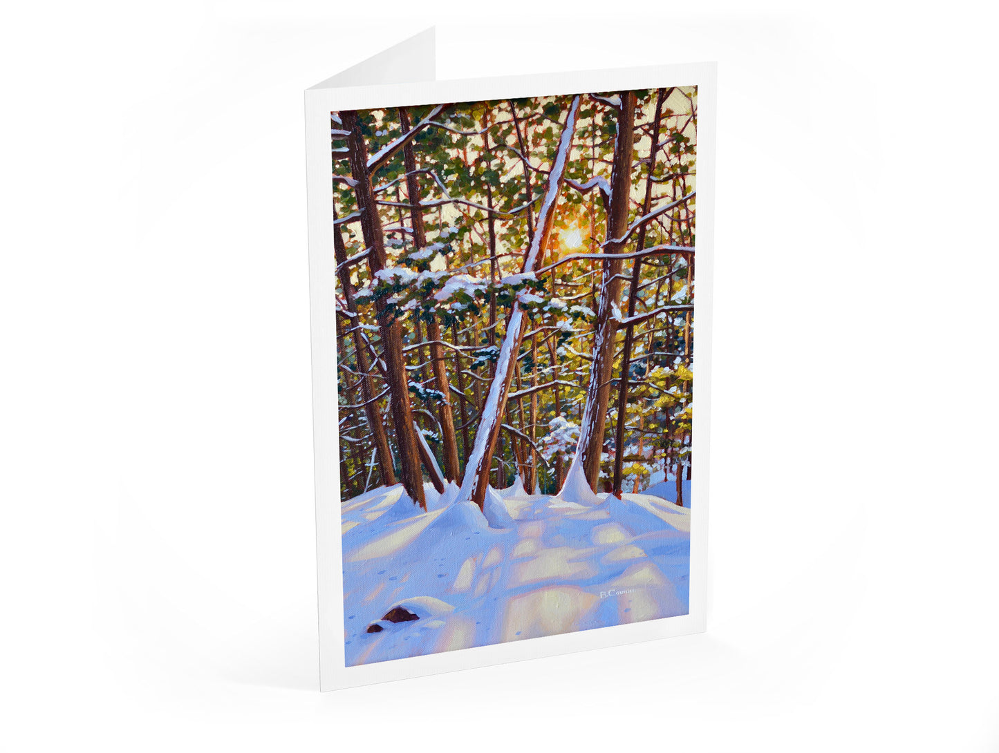 12-Card Holiday Package