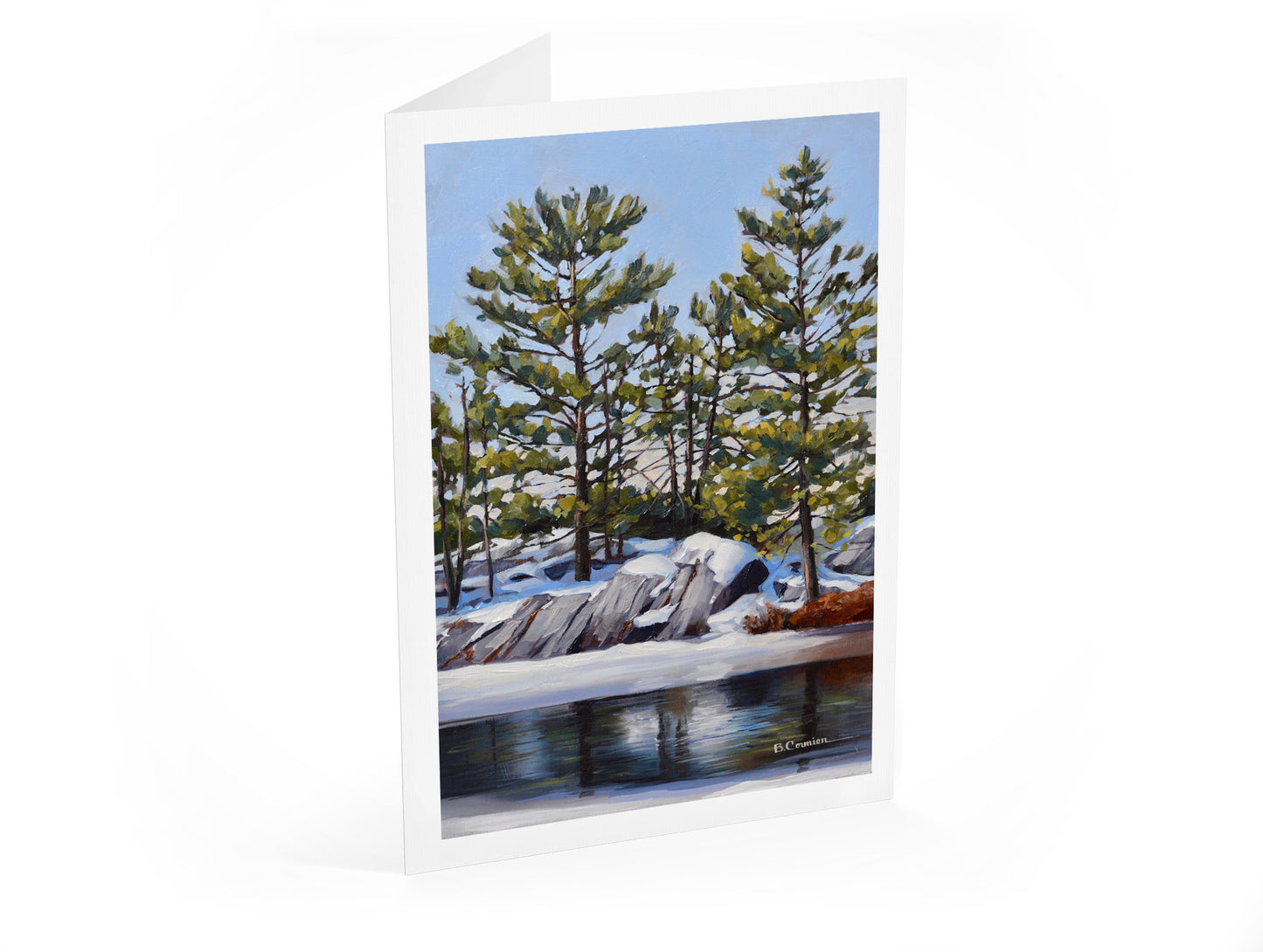 6-Card Winter Landscape Package