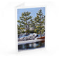 12-Card Holiday Package