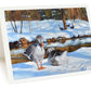 6-Card Winter Landscape Package