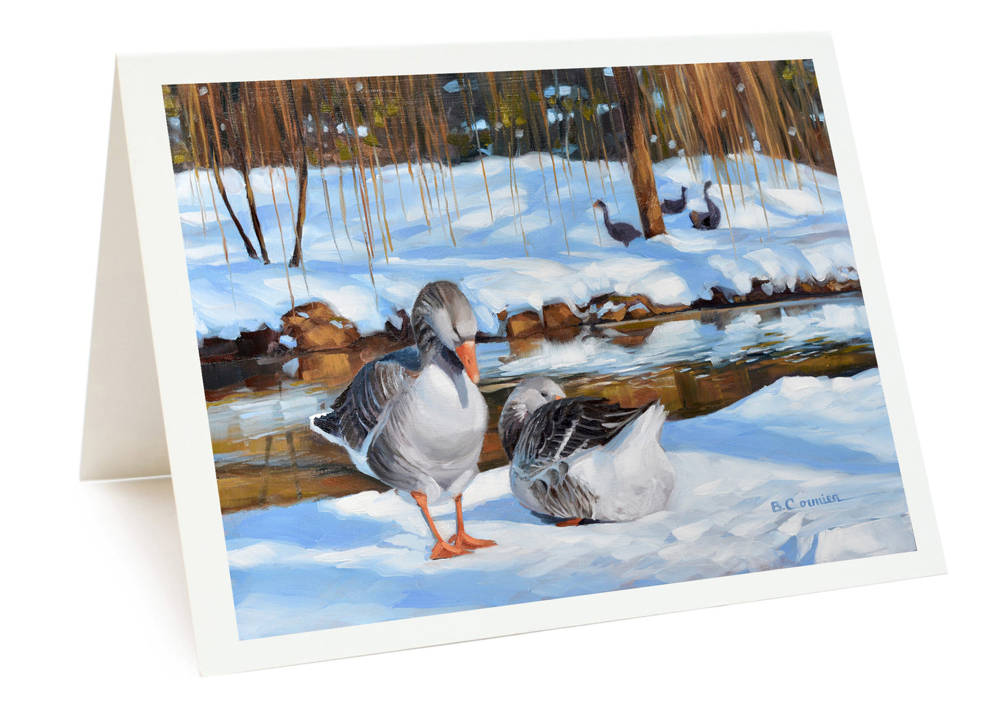 12-Card Holiday Package